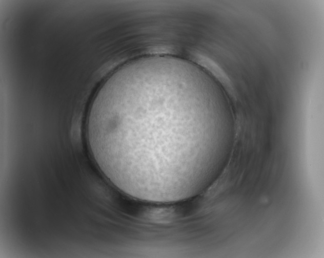 X0000089690155200707051631