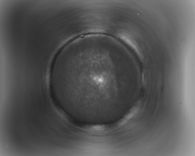 X0000089690156200707051631