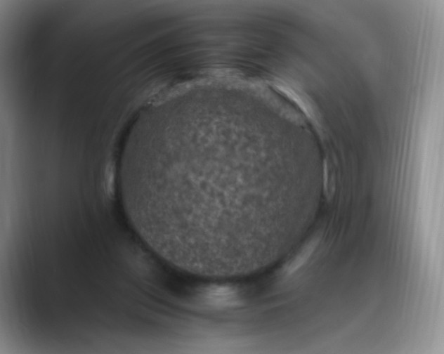 X0000089690157200707051631