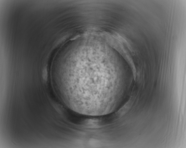 X0000089690158200707051631