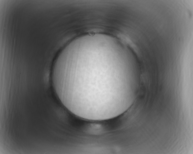 X0000089690159200707051631