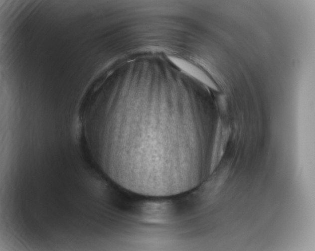 X0000089690160200707051631