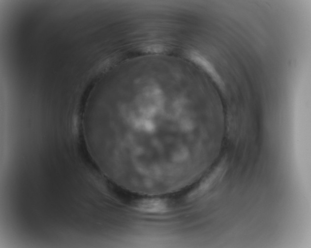 X0000089690161200707051631