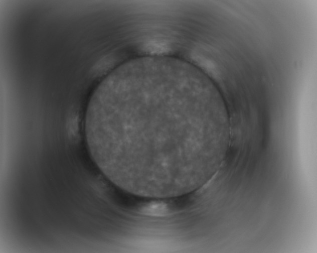 X0000089690162200707051631