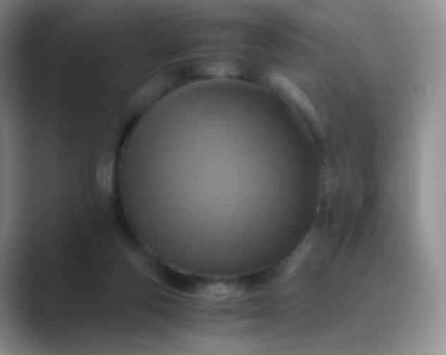 X0000089690163200707051631