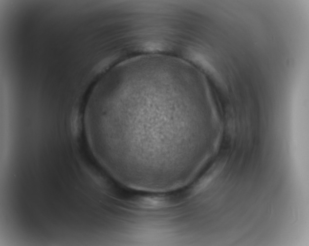 X0000089690164200707051631