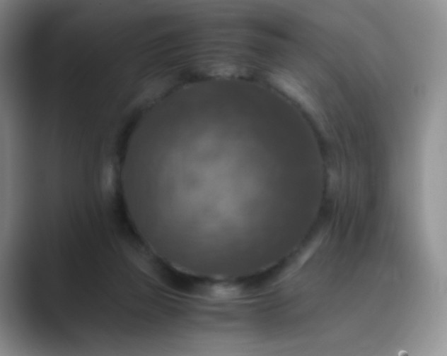 X0000089690165200707051632