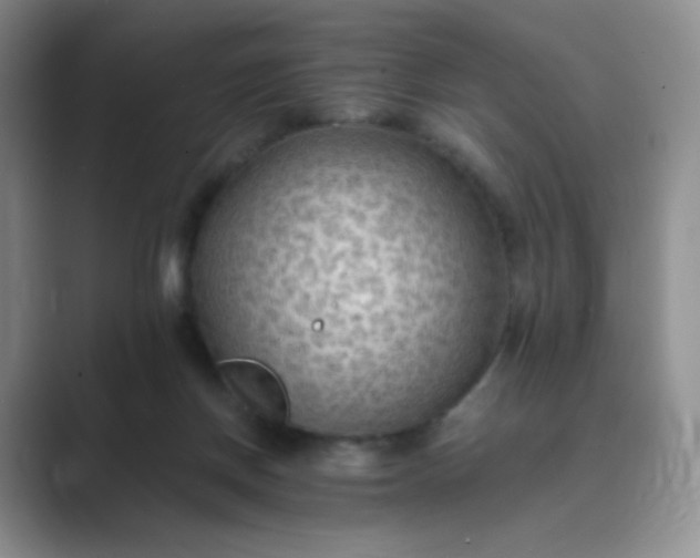 X0000089690166200707051632