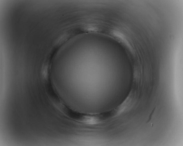 X0000089690167200707051632