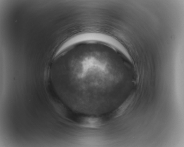 X0000089690168200707051632