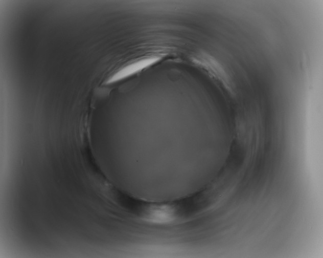 X0000089690169200707051632