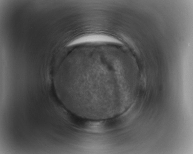 X0000089690170200707051632