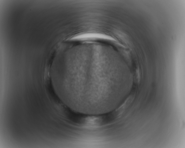 X0000089690172200707051632