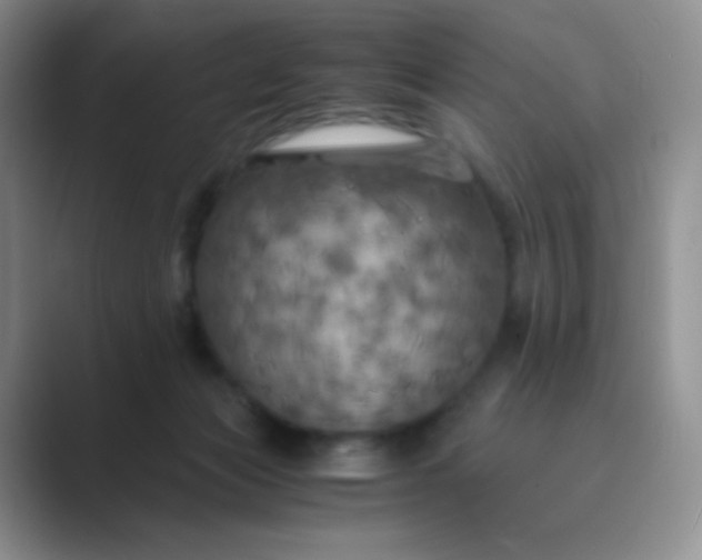 X0000089690173200707051632