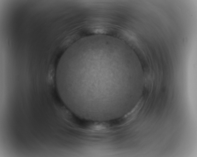 X0000089690175200707051632