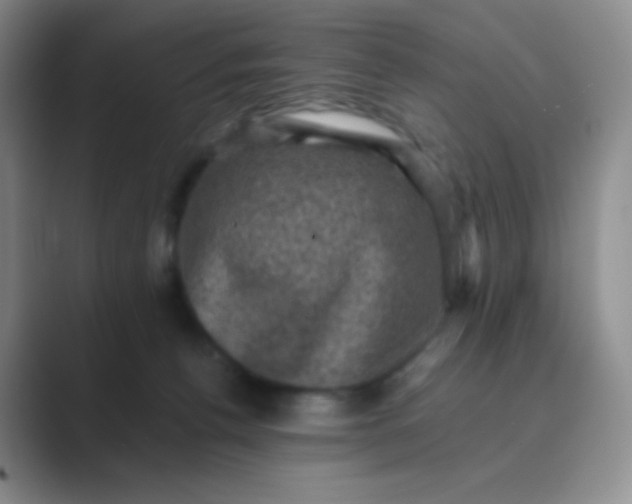 X0000089690176200707051632