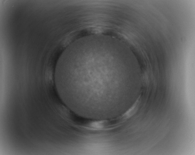 X0000089690178200707051632