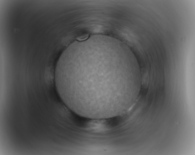 X0000089690179200707051632