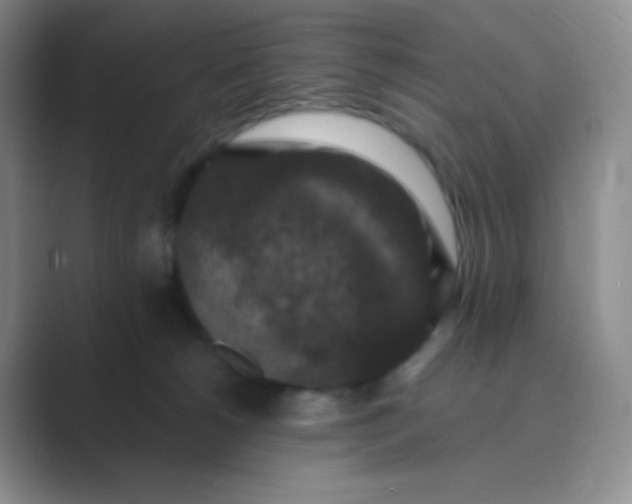 X0000089690180200707051632