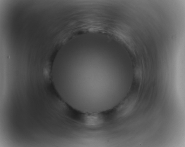 X0000089690181200707051632