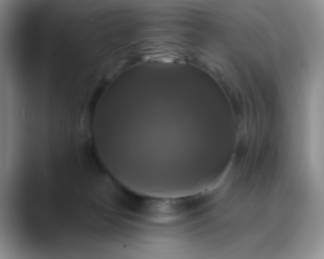 X0000089690182200707051632