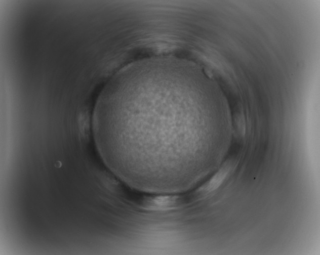 X0000089690184200707051632