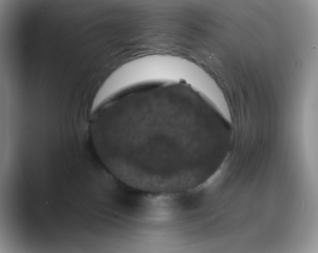 X0000089690186200707051632