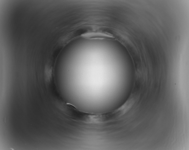 X0000089690188200707051632