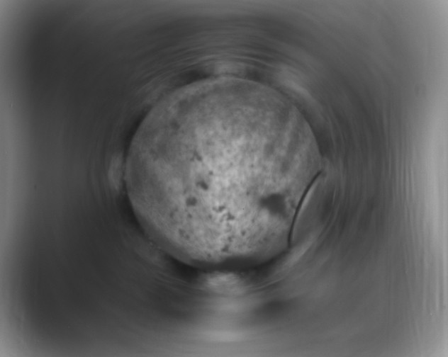 X0000089690189200707051632