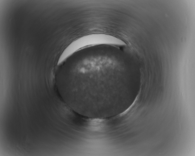 X0000089690192200707051632