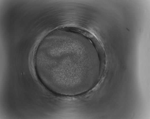 X0000089690193200707051631