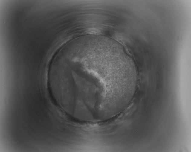 X0000089690194200707051631