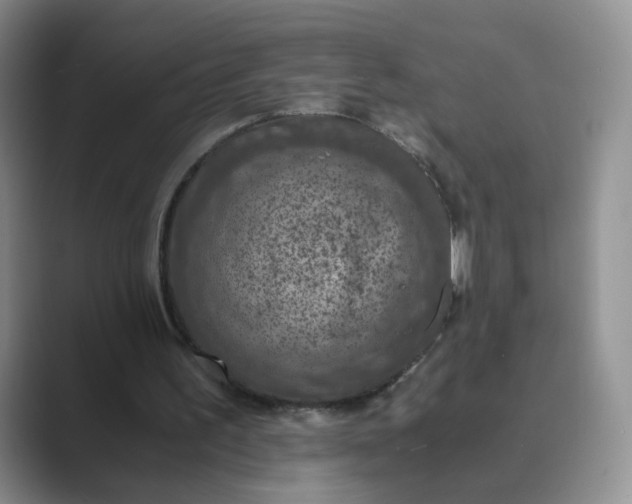 X0000089690195200707051631