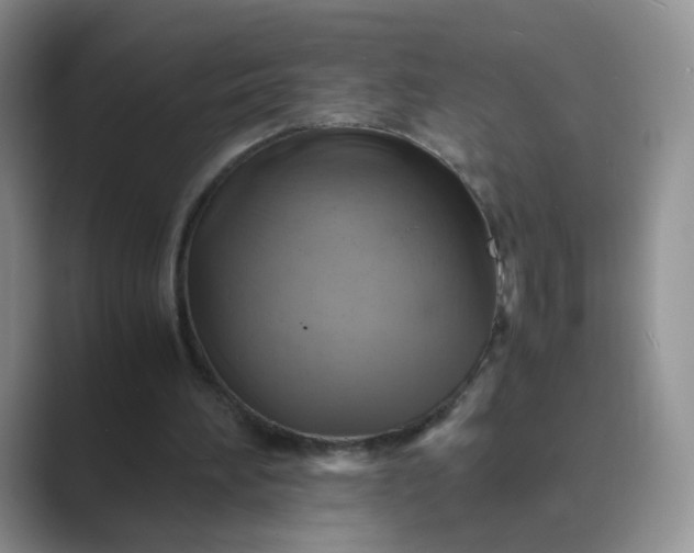 X0000089690196200707051631