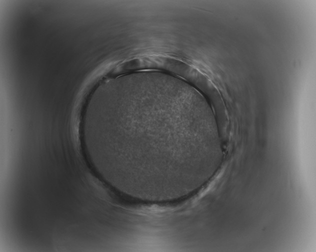 X0000089690197200707051631