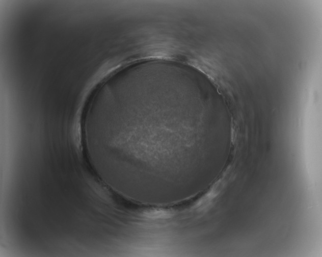 X0000089690198200707051631