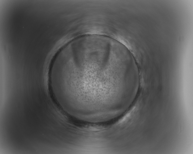 X0000089690199200707051631