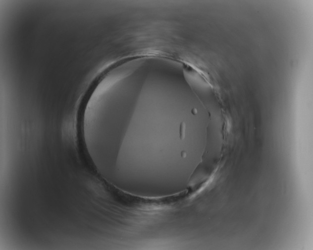 X0000089690200200707051631