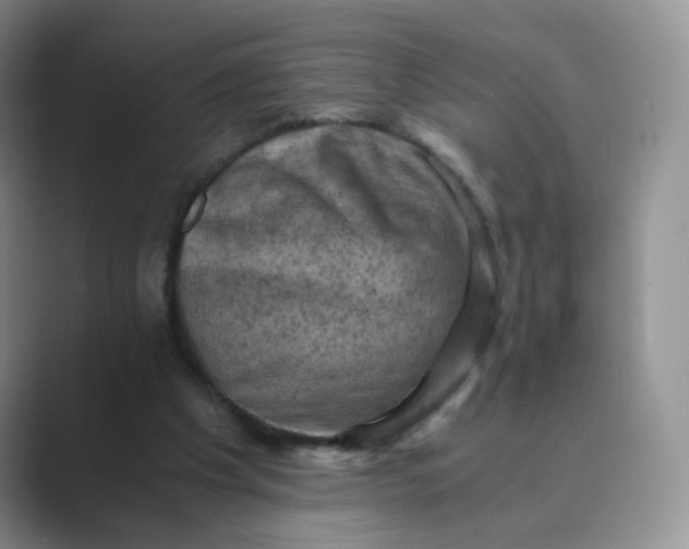 X0000089690201200707051631