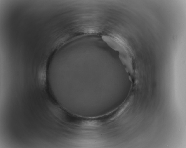 X0000089690202200707051631