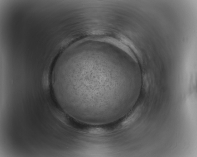 X0000089690203200707051631