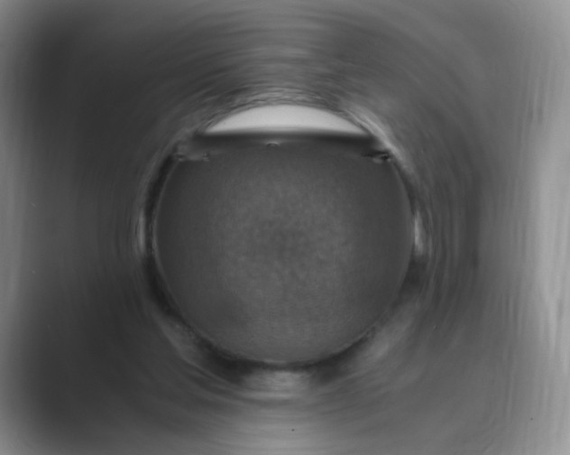 X0000089690205200707051631