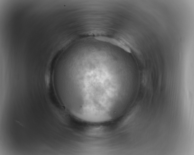 X0000089690206200707051631