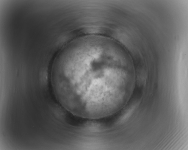 X0000089690207200707051631