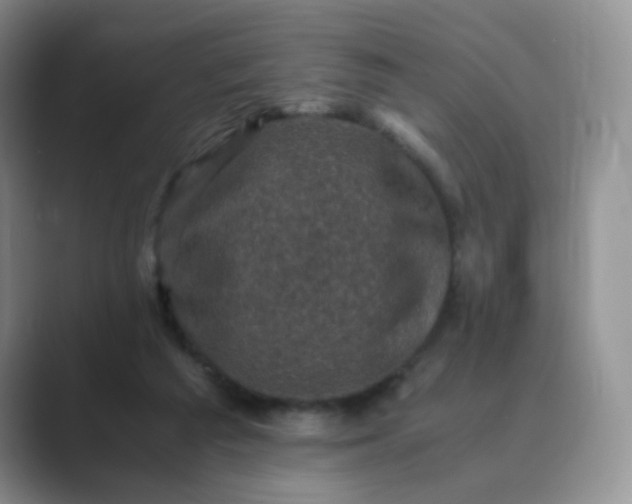 X0000089690209200707051631