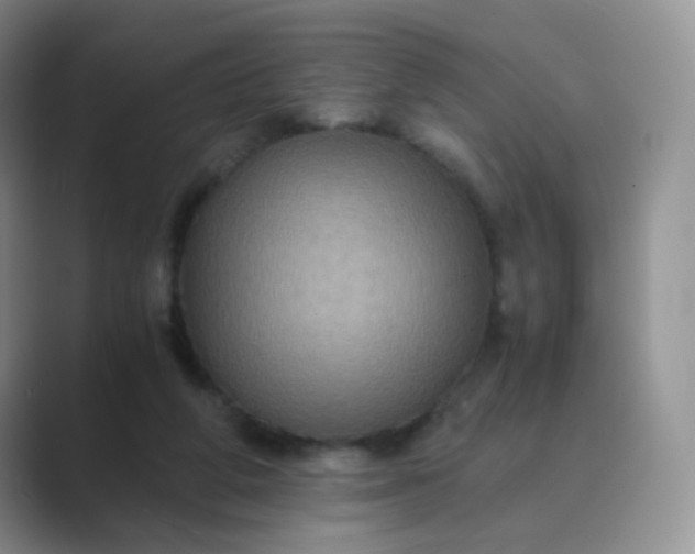 X0000089690210200707051631