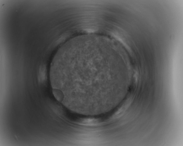 X0000089690212200707051631