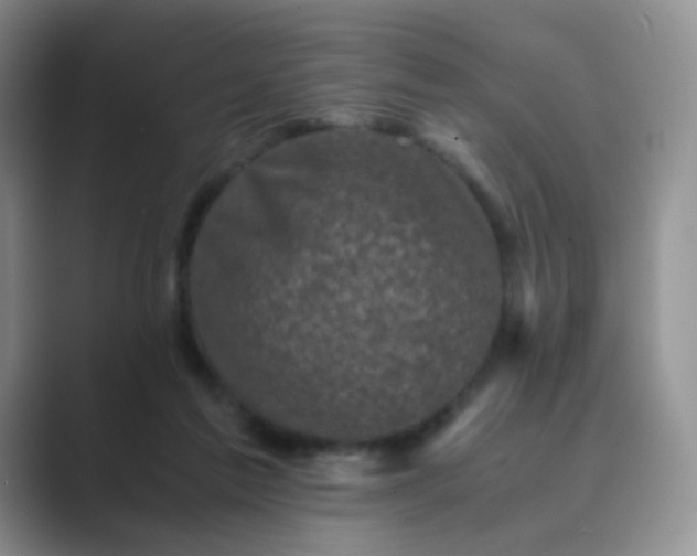 X0000089690213200707051631