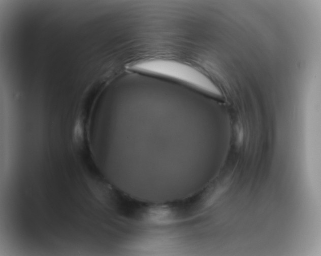 X0000089690214200707051631