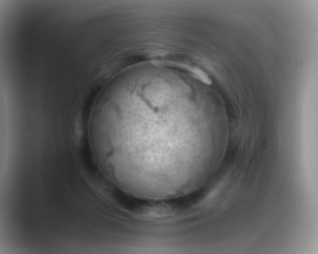 X0000089690215200707051631